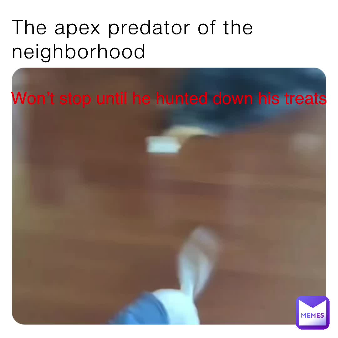 Me personally wouldn’t mess with his treats