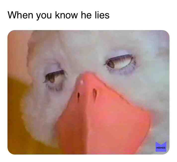 Meme shared by @krueschn