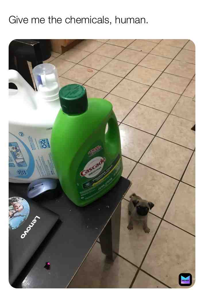 Meme shared by @ChrisNamedJack
