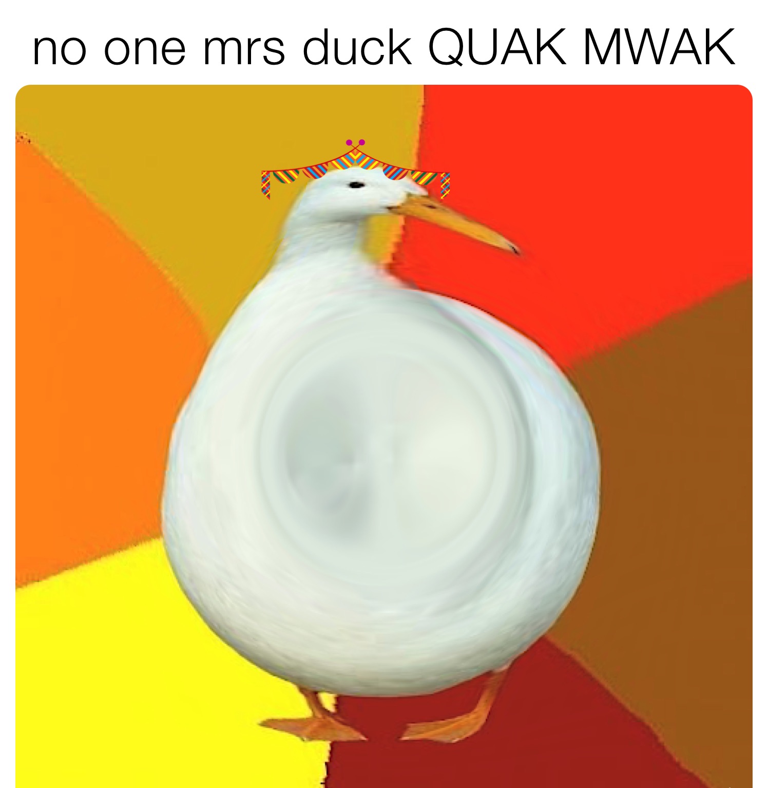 no one mrs duck QUAK MWAK