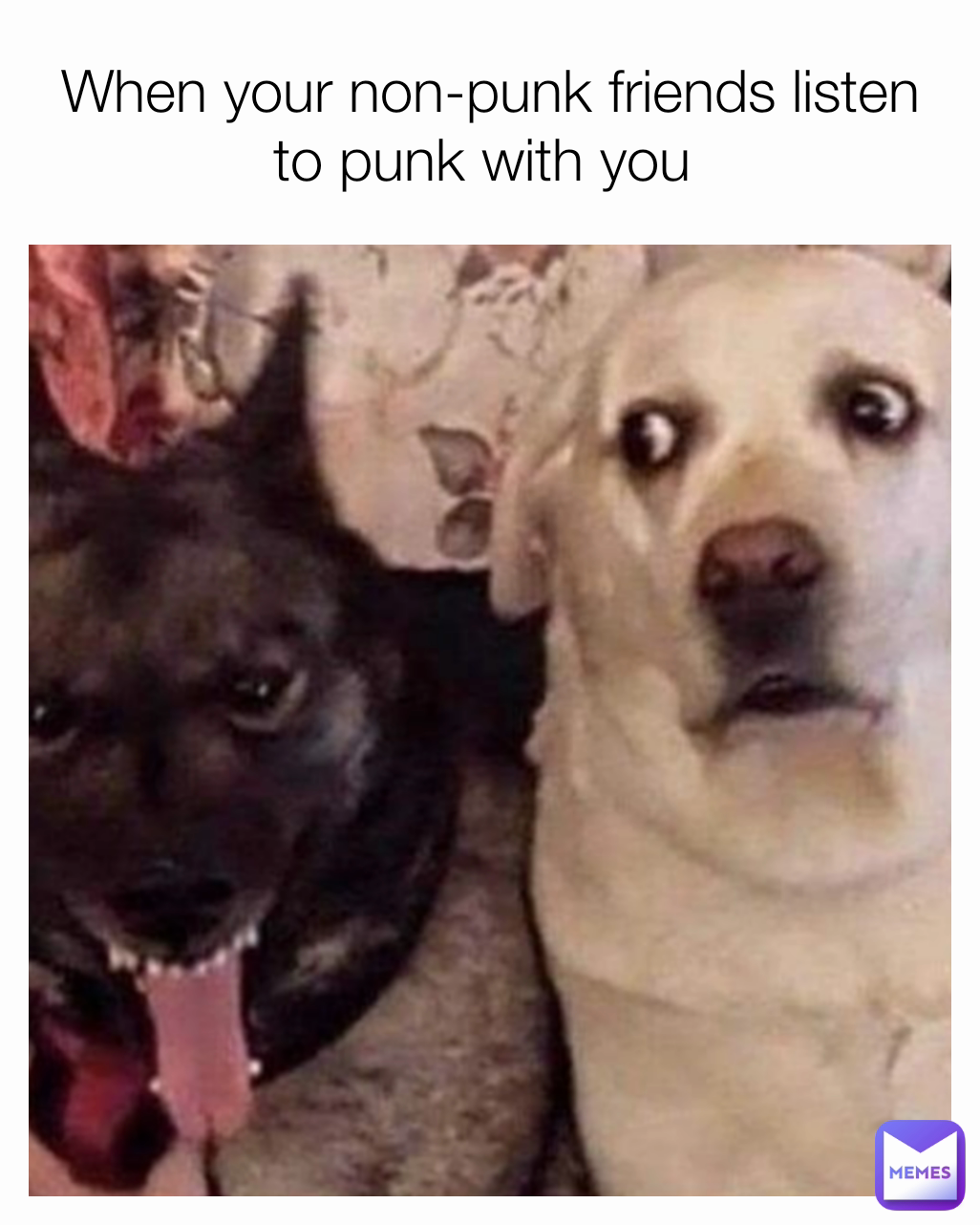 When your non-punk friends listen to punk with you 
