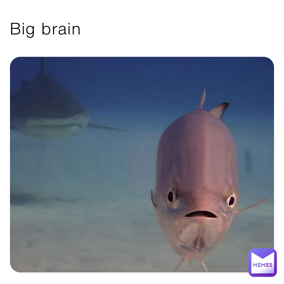 Big brain