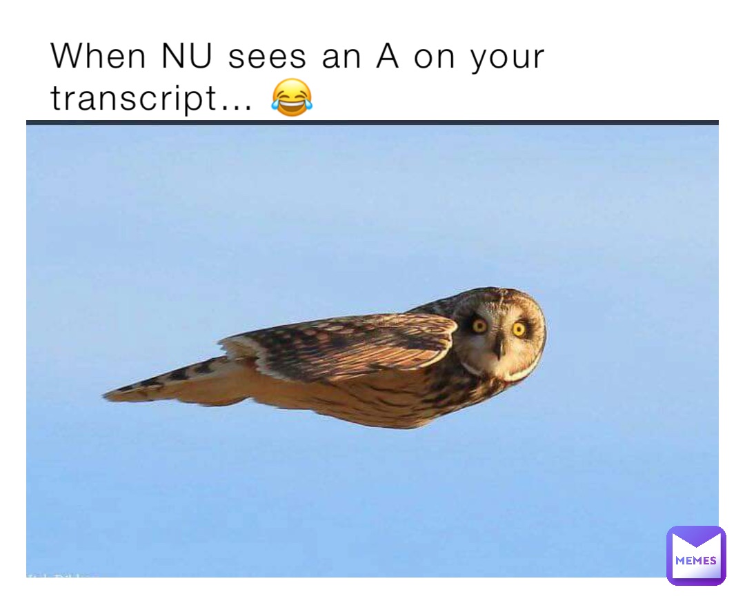 Meme by darrylltsiame