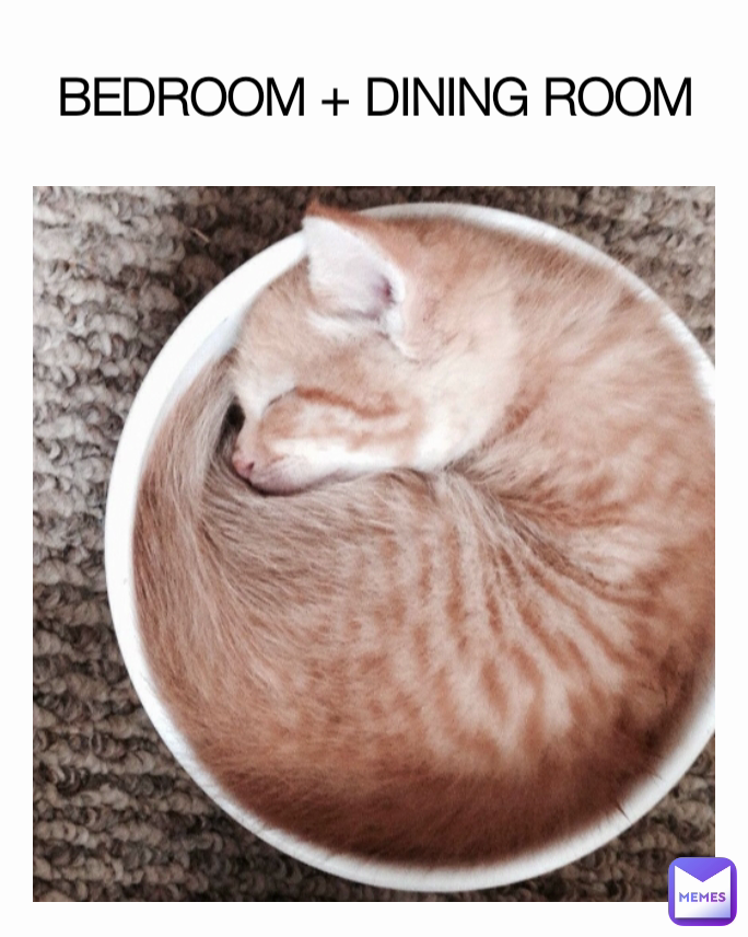 BEDROOM + DINING ROOM
