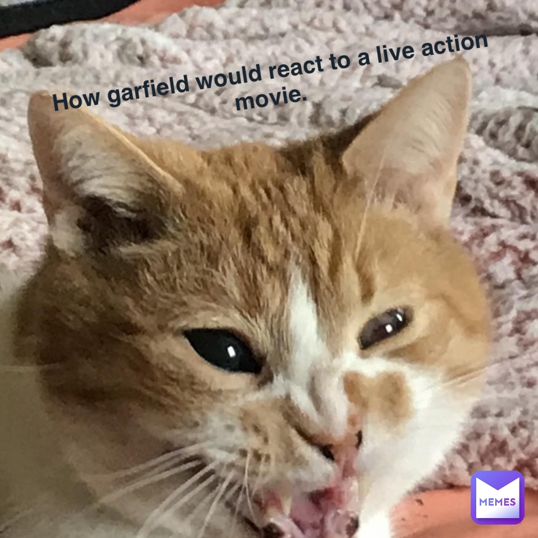 How Garfield would react to a live action movie.