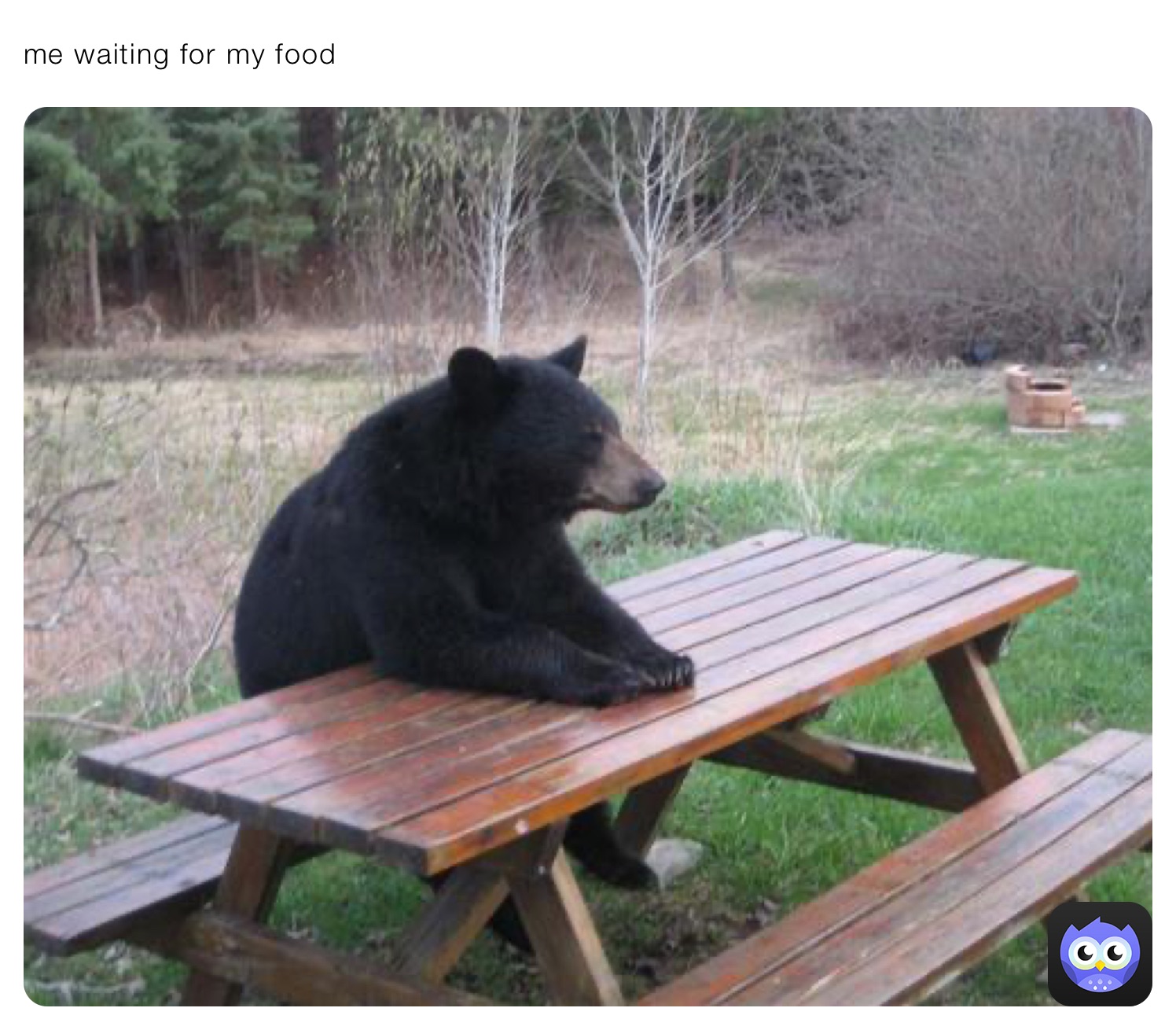 me waiting for my food
