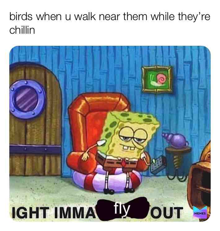 Meme shared by @memesbyshealyn