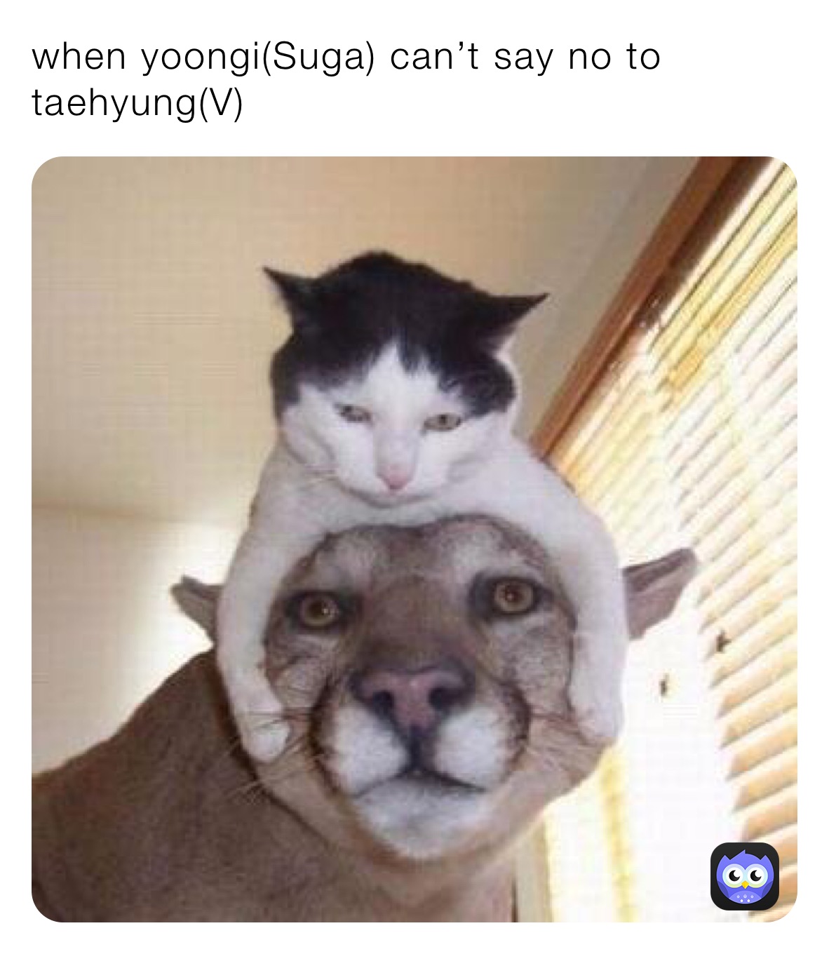 when yoongi(Suga) can’t say no to taehyung(V)