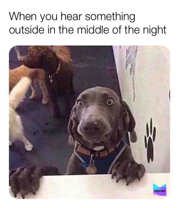 Meme shared by @Sarcasticdog