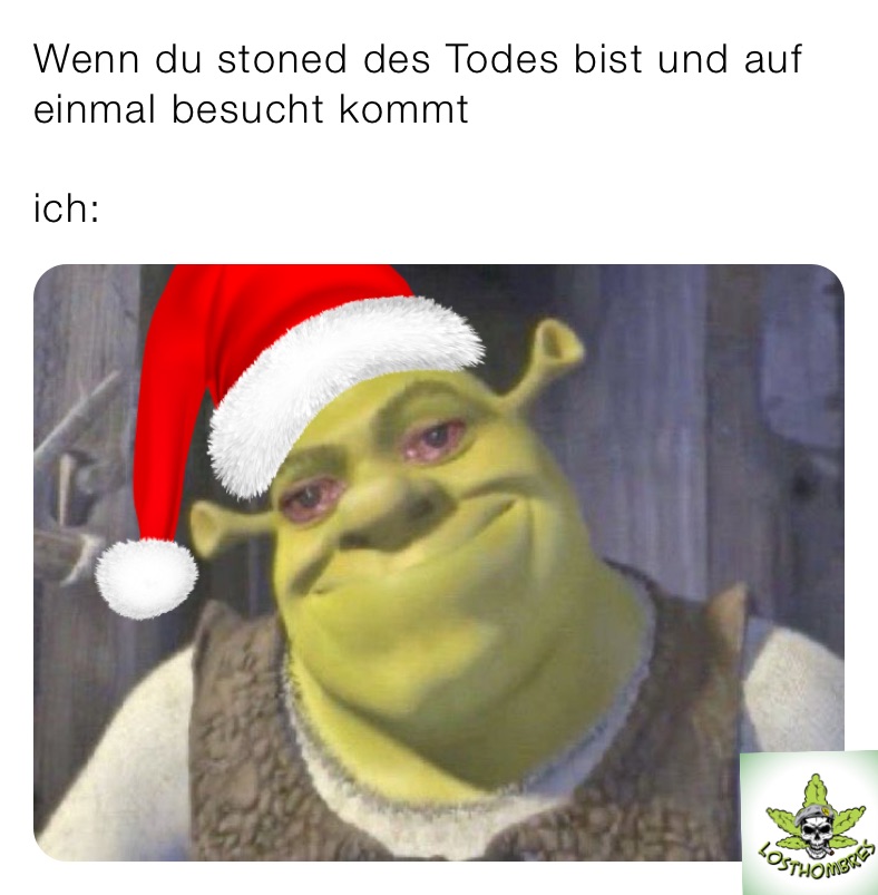 Wenn du stoned des Todes bist und auf einmal besucht kommt 

ich: