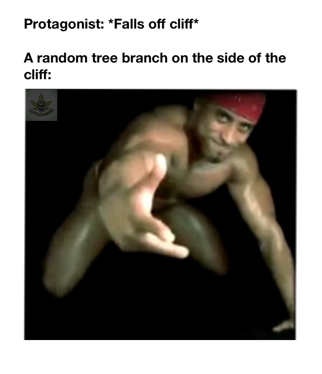 Protagonist: *Falls off cliff*

A random tree branch on the side of the cliff: