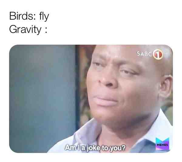 Meme shared by @jensku