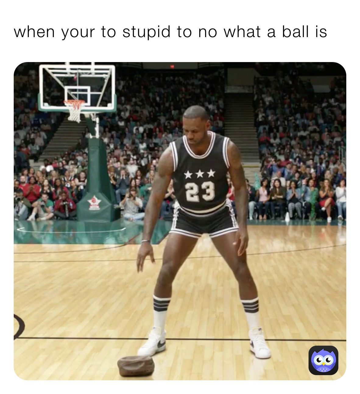 when your to stupid to no what a ball is