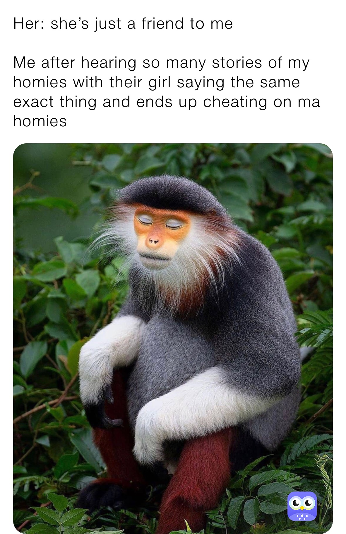 Meme by condeansoumane950