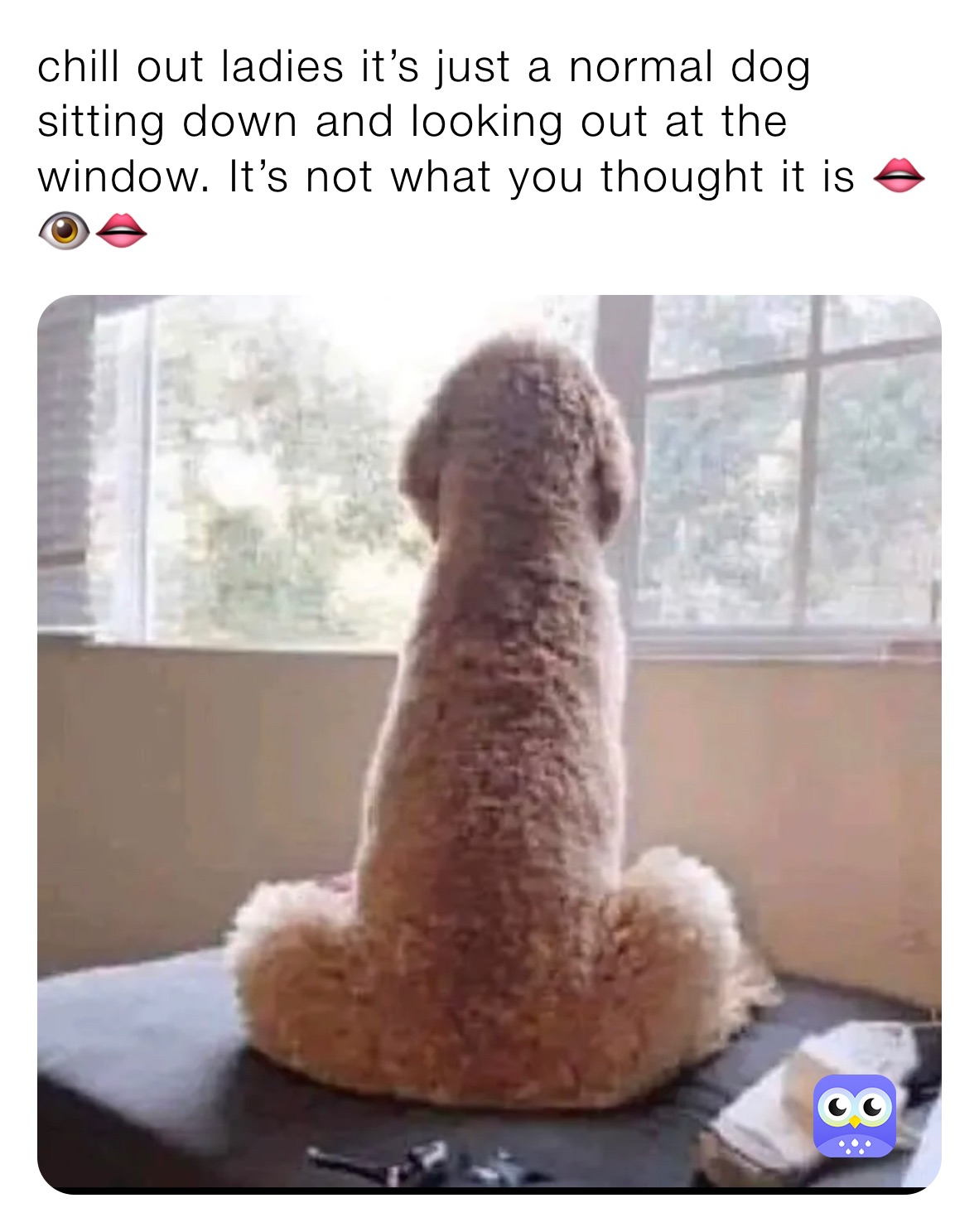 Meme by condeansoumane950