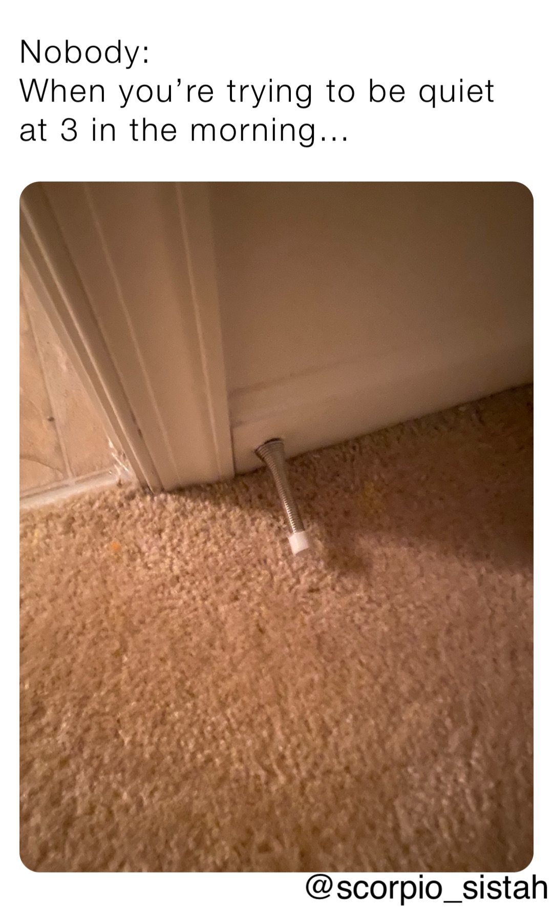 Nobody:
When you’re trying to be quiet at 3 in the morning…