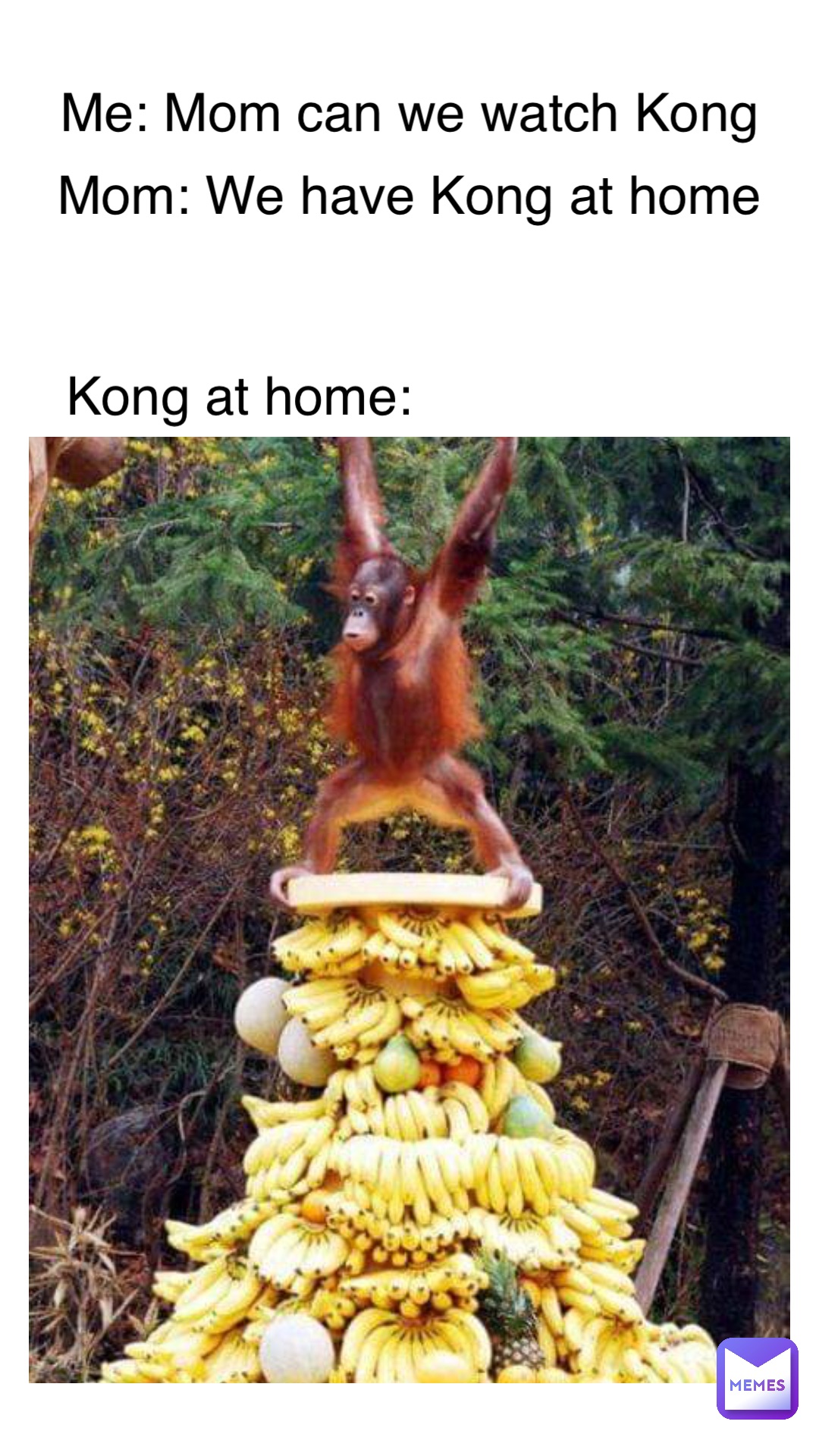 Me: Mom can we watch Kong Mom: We have Kong at home Kong at home: