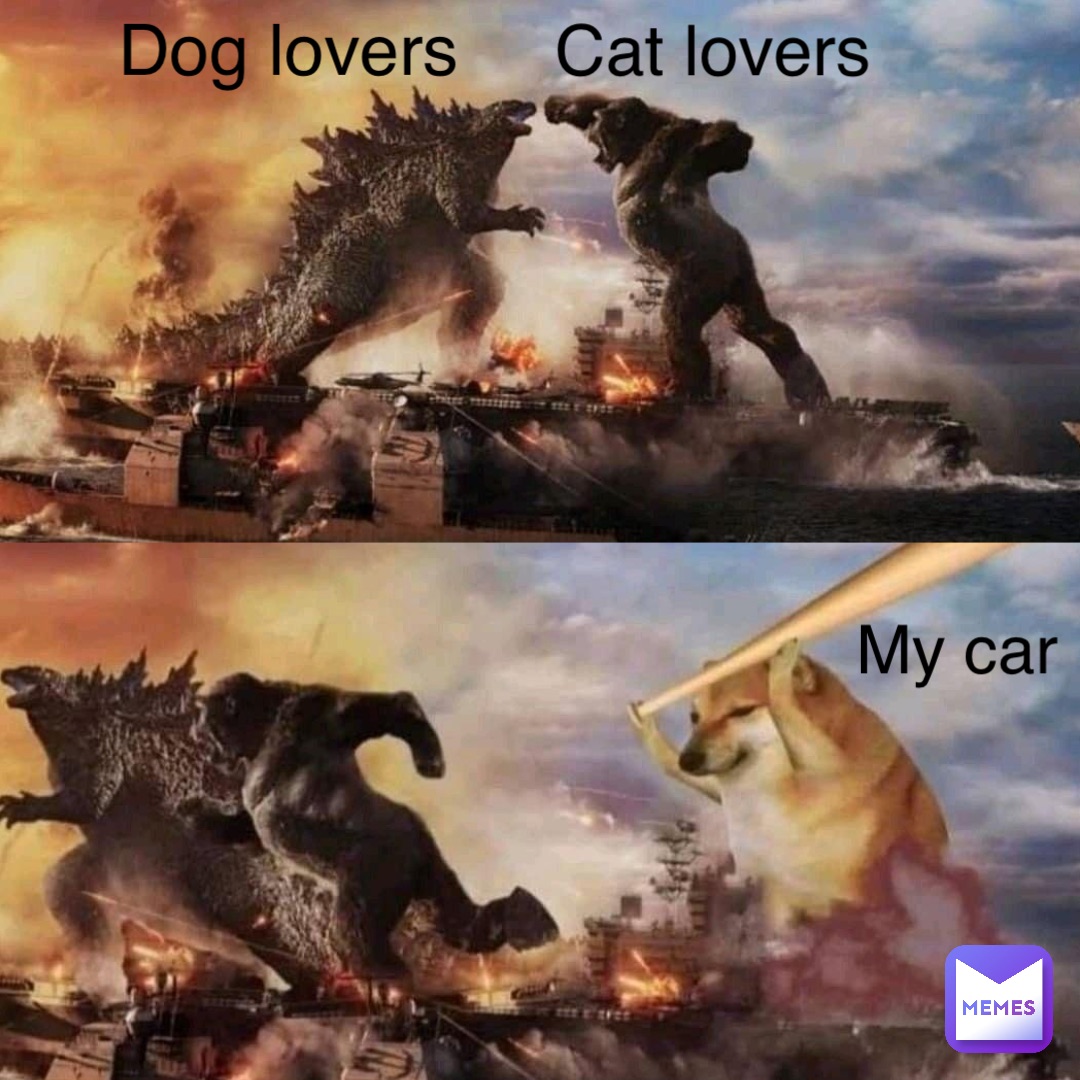 Cat Lovers vs Dog Lovers