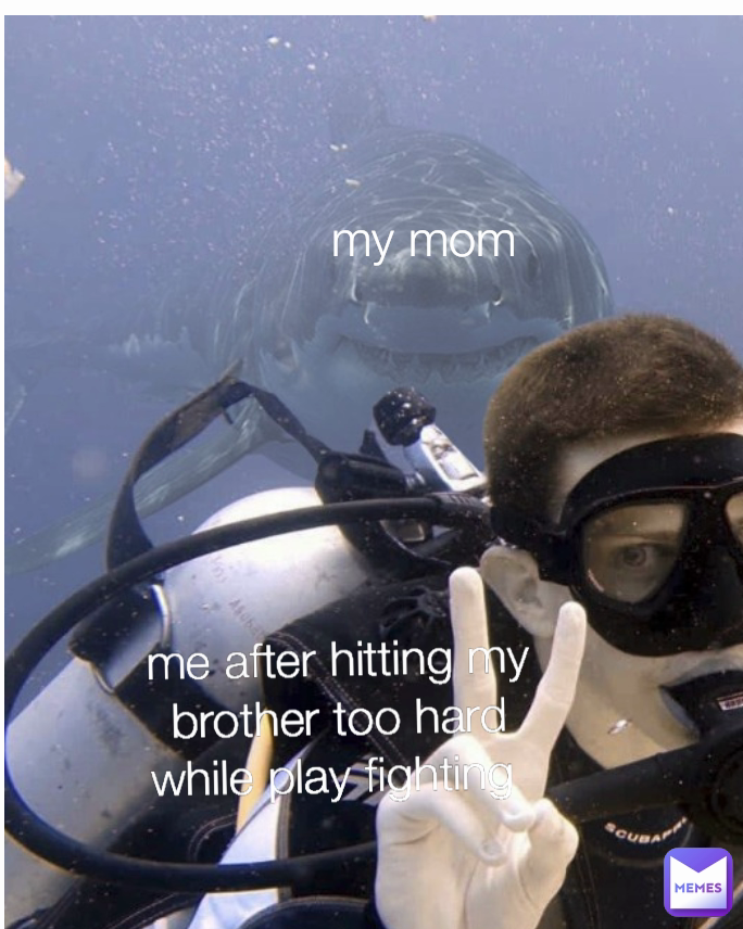 my mom me after hitting my brother too hard  while play fighting 