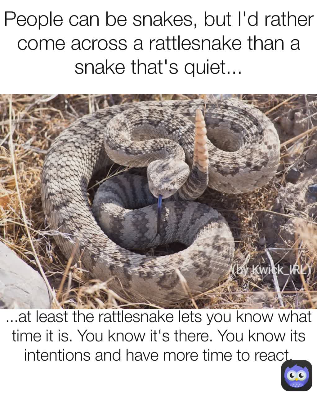 ...at least the rattlesnake lets you know what time it is. You know it's there. You know its intentions and have more time to react. People can be snakes, but I'd rather come across a rattlesnake than a snake that's quiet...