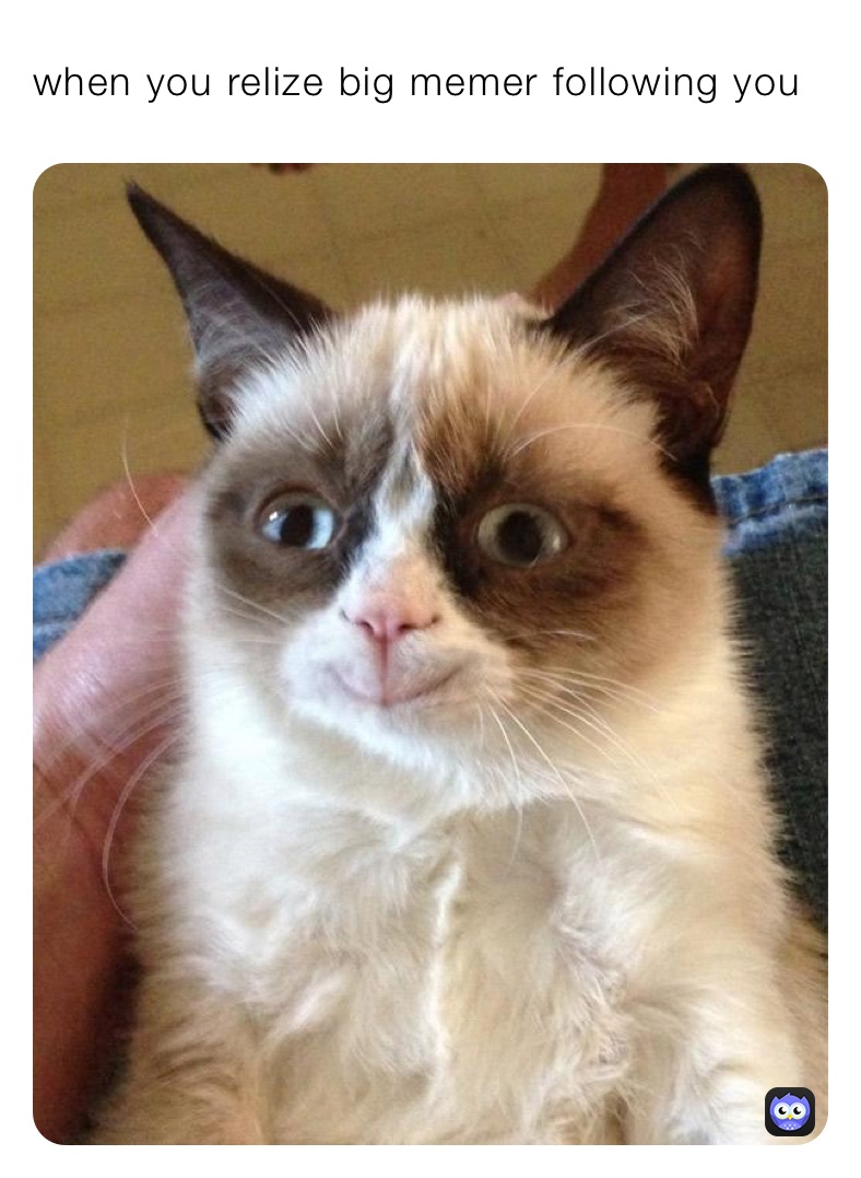 when you relize big memer following you