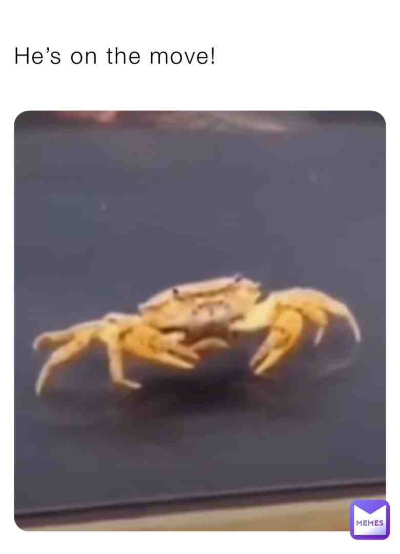 Meme shared by @MASDOG33