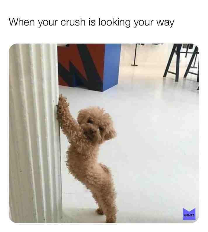 #memes  #loner
