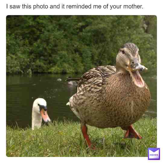 Your mother is the best thing I could of made fun of ;) #joemama