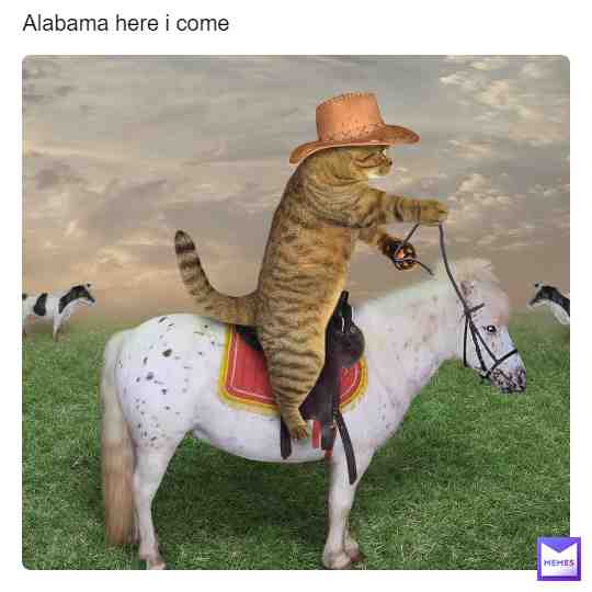 yoo