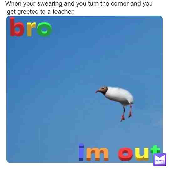 Meme shared by @Macapacker
