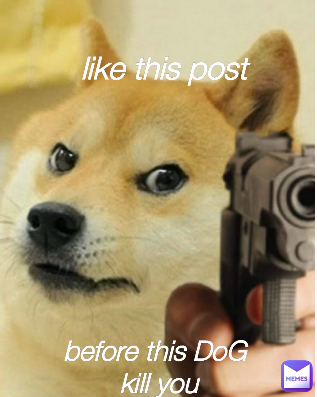 before this DoG 
kill you like this post