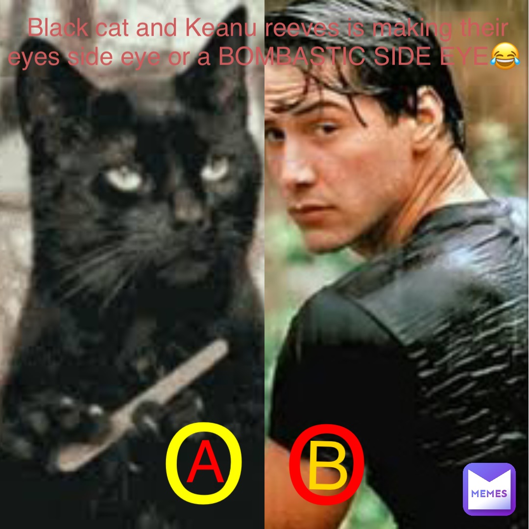 Meme by elena.panda.po