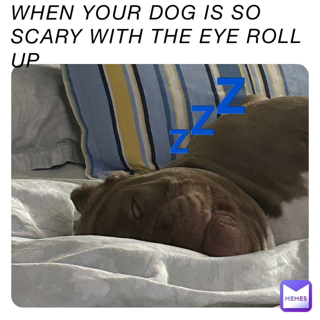 WHEN YOUR DOG IS SO SCARY WITH THE EYE ROLL UP 💤 | @elena.panda.po | Memes