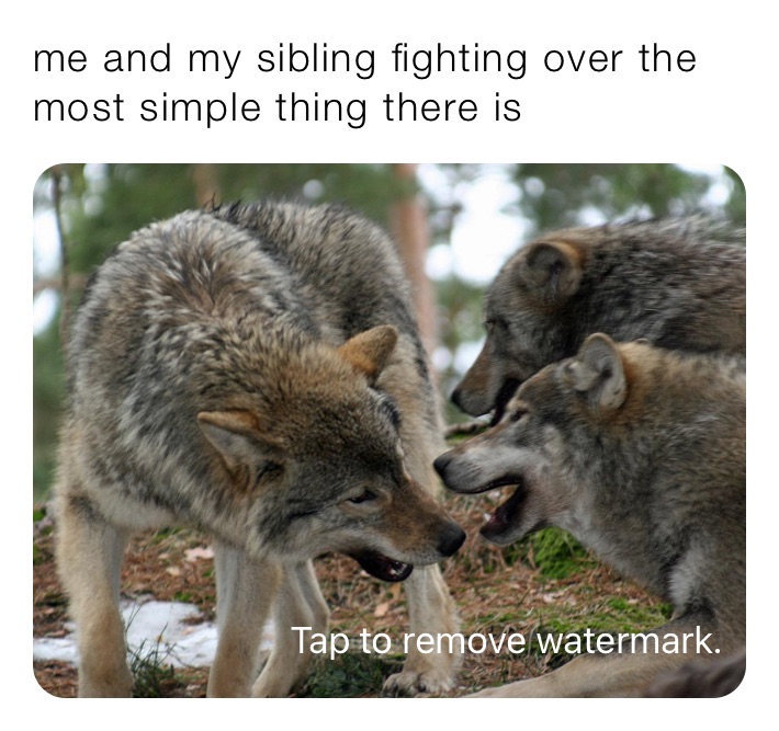me and my sibling fighting over the most simple thing there is 