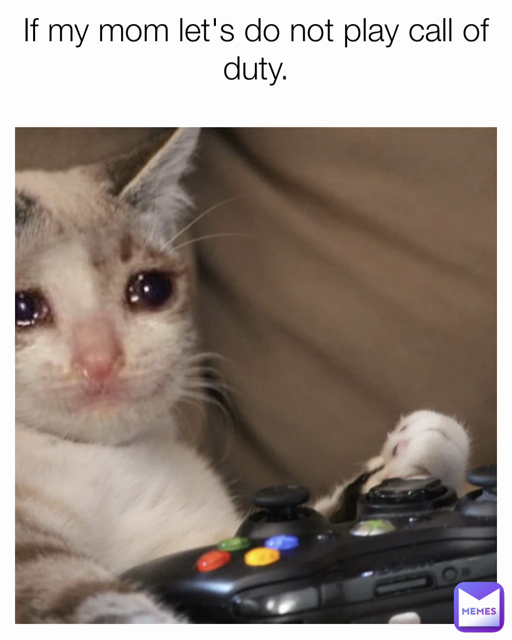 If my mom let's do not play call of duty.
