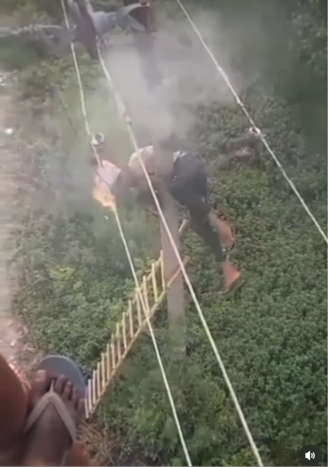 #gore  #crazyvids  #wild  #wildvidz  #wtf