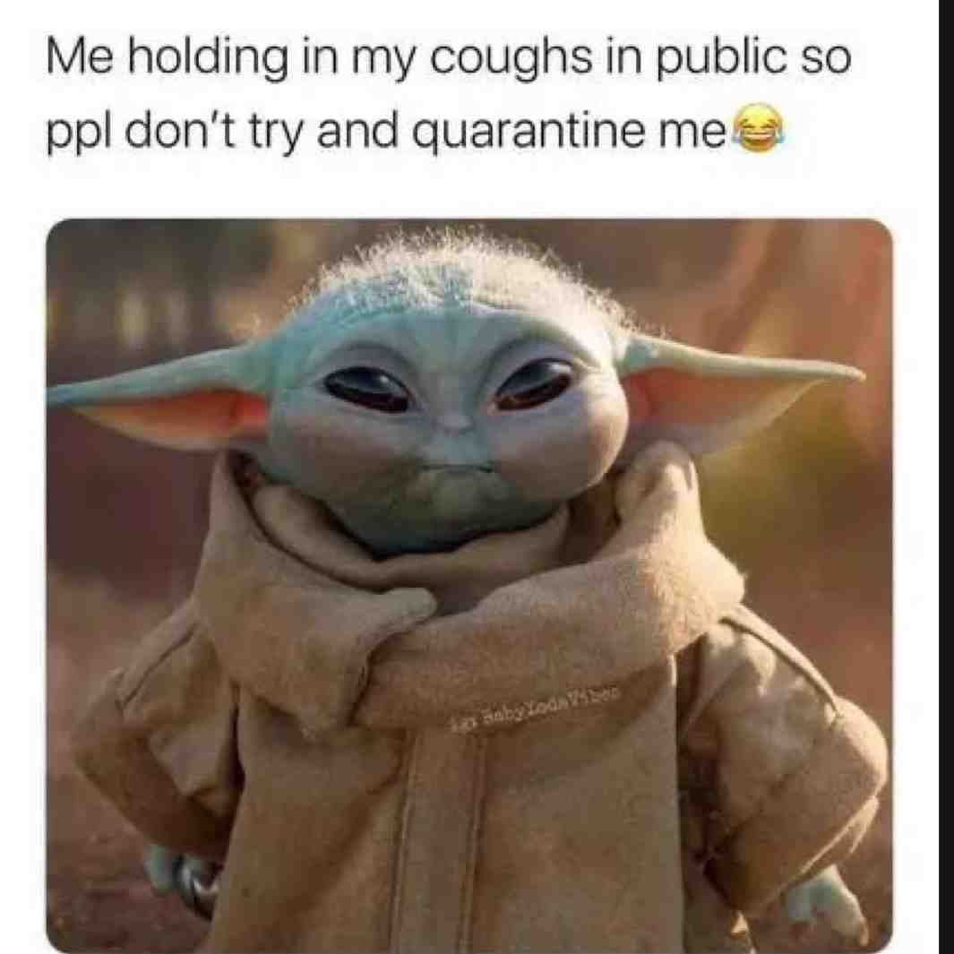 Meme preview