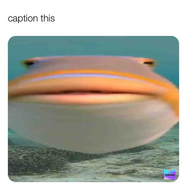 Caption this
