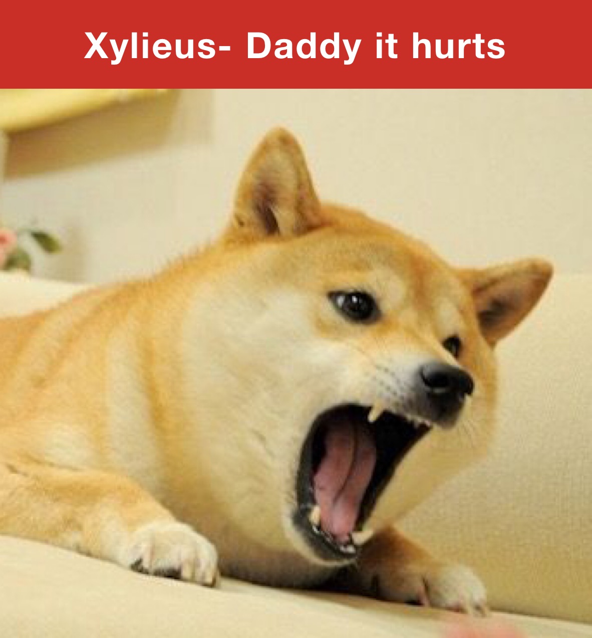 Xylieus- Daddy it hurts