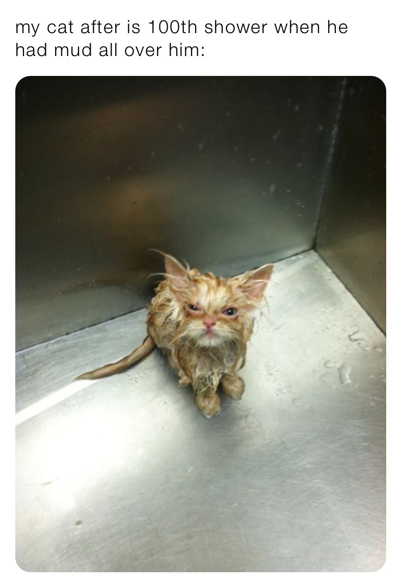 Meme by Idkmylifeonline