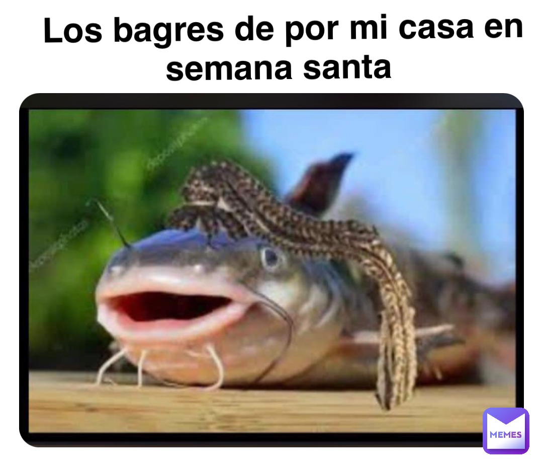 Double tap to edit Los bagres de por mi casa en semana santa