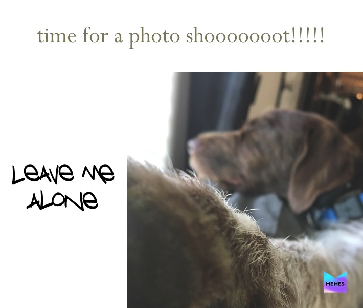 Meme by nevaeh.rain.turner