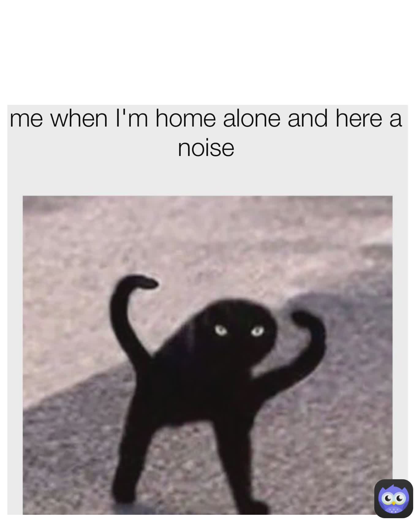 me when I'm home alone and here a noise disappointmentisland Memes