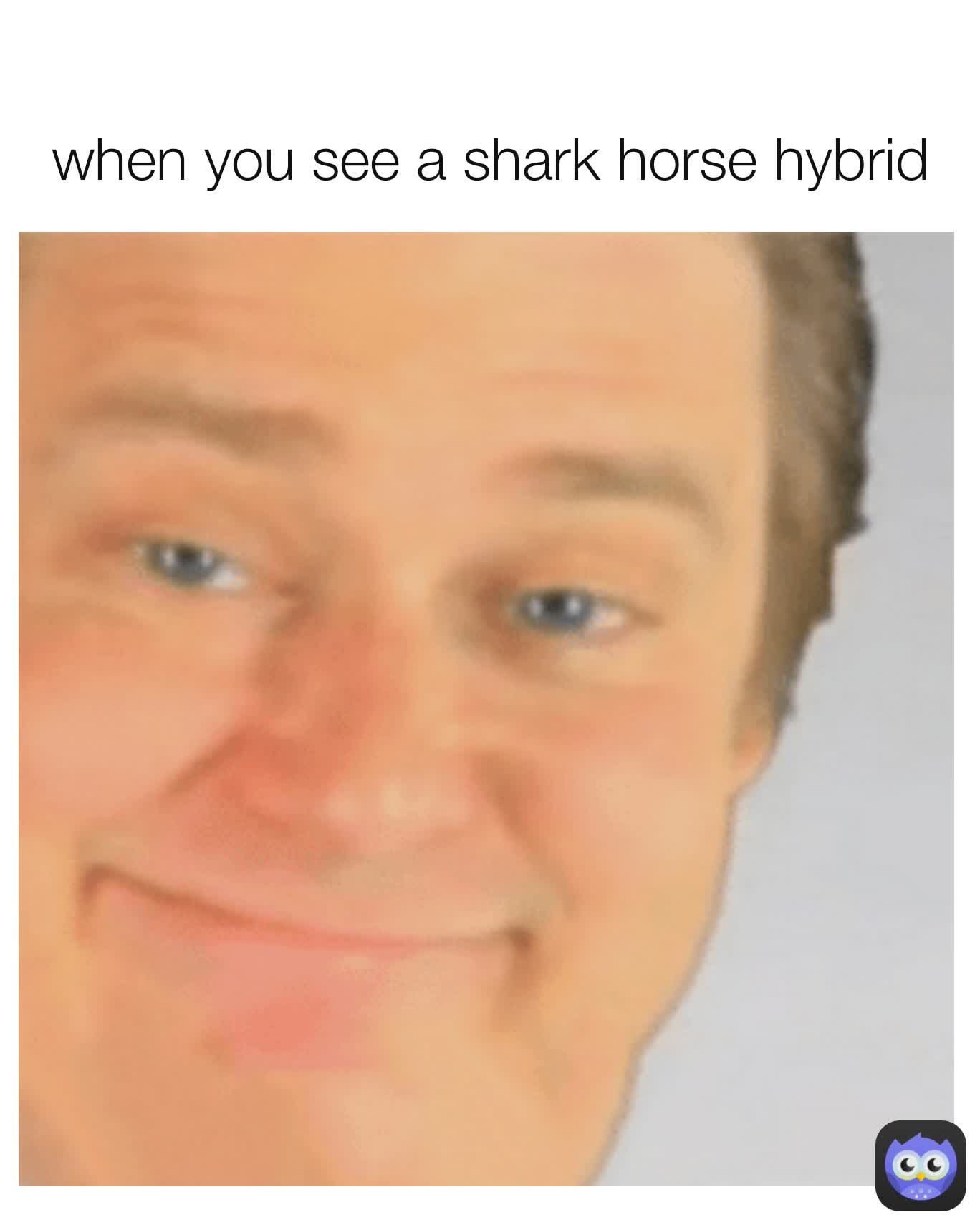 
when you see a shark horse hybrid
