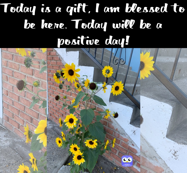 Today is a gift, I am blessed to be here. Today will be a positive day!