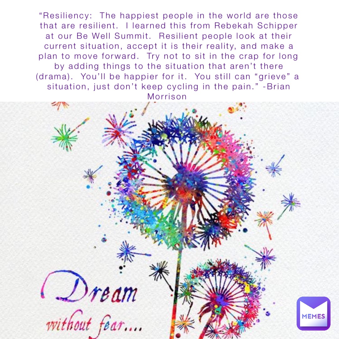 “Resiliency:  The happiest people in the world are those that are resilient.  I learned this from Rebekah Schipper at our Be Well Summit.  Resilient people look at their current situation, accept it is their reality, and make a plan to move forward.  Try not to sit in the crap for long by adding things to the situation that aren’t there (drama).  You’ll be happier for it.  You still can “grieve” a situation, just don’t keep cycling in the pain.” -Brian Morrison