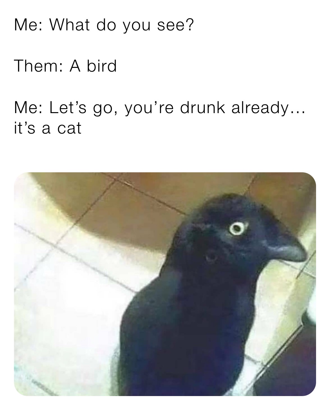 Me: What do you see?

Them: A bird

Me: Let’s go, you’re drunk already…it’s a cat
