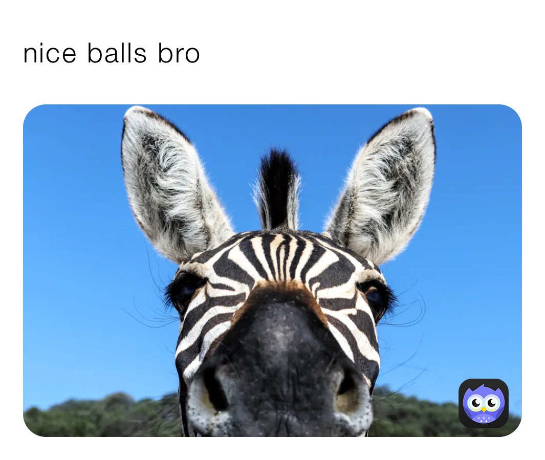 Nice Balls Bro | @sharpcow898 | Memes