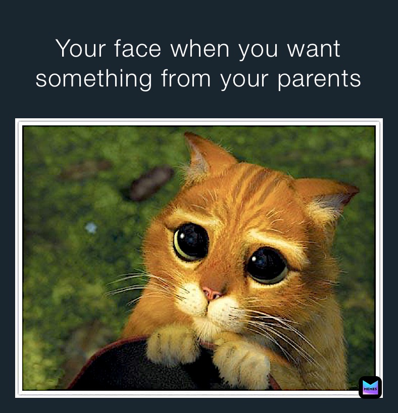 Your face when you want something from your parents