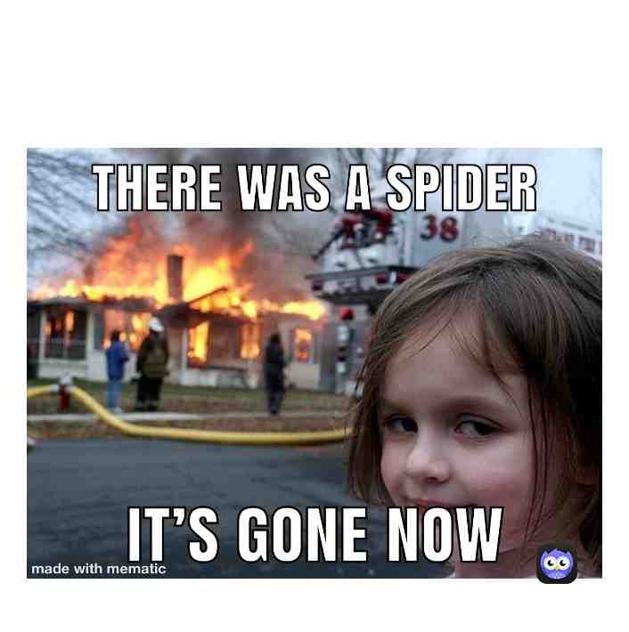 Meme shared by @PaoloMattmann